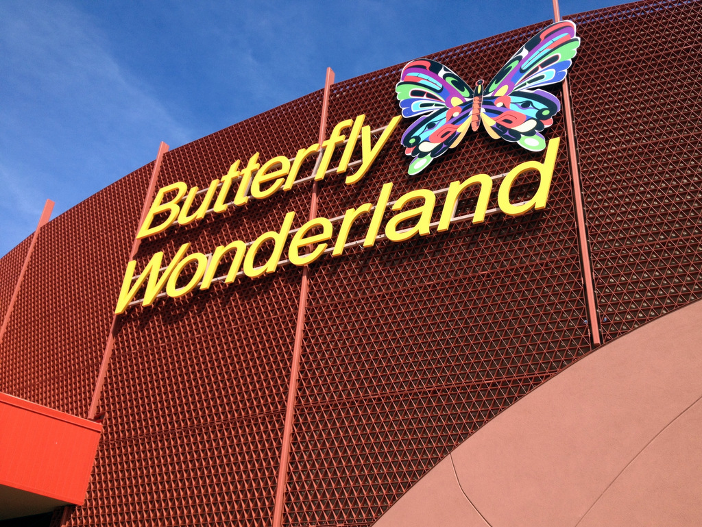 butterfly-wonderland-in-scottsdale-arizona.jpg