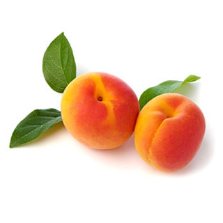 apricot4.jpg