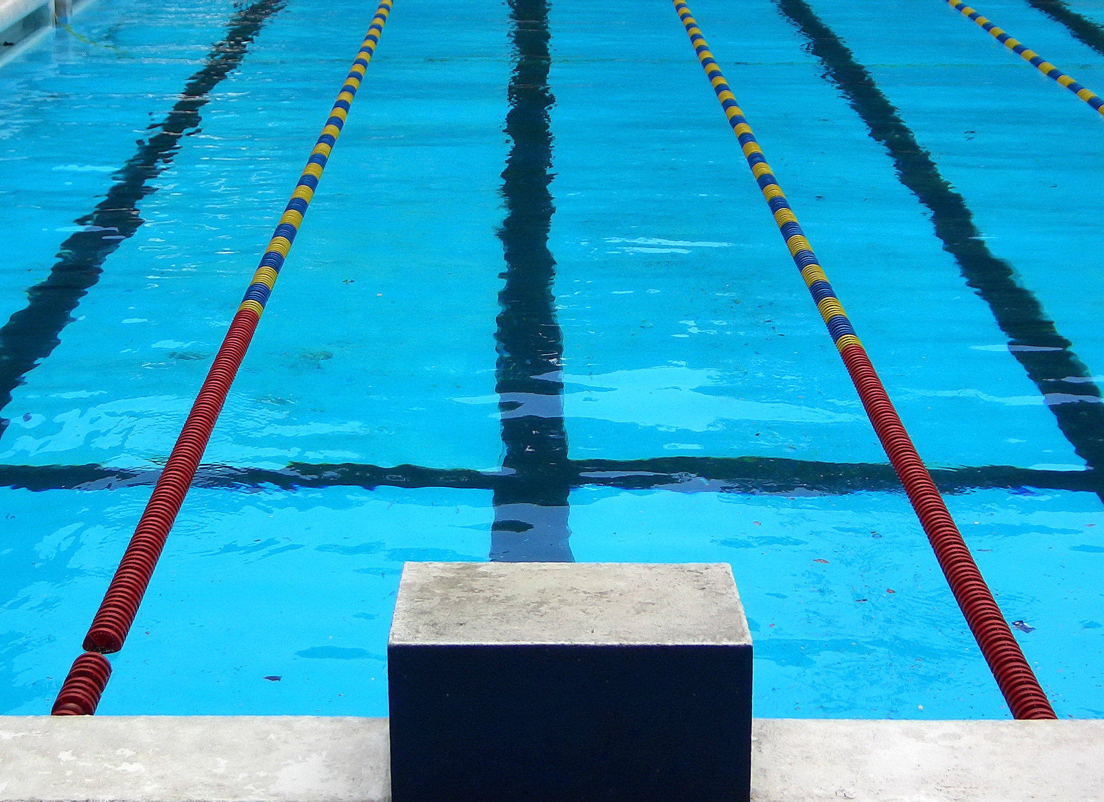 Competition_swimming_pool_block.jpg