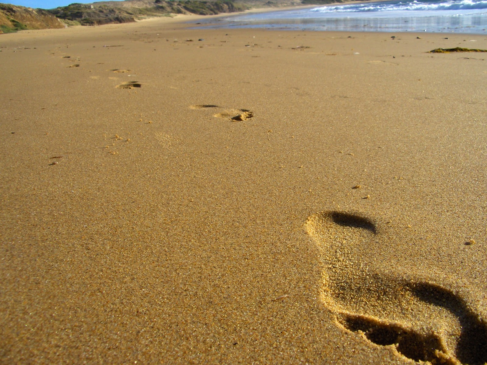 footprints_in_sand.jpg