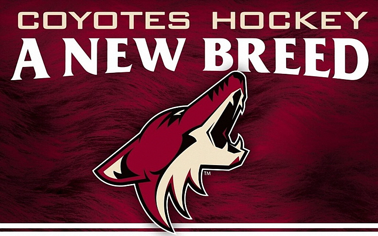 newice-hockey-phoenix-coyotes_92629-1440x900.jpg